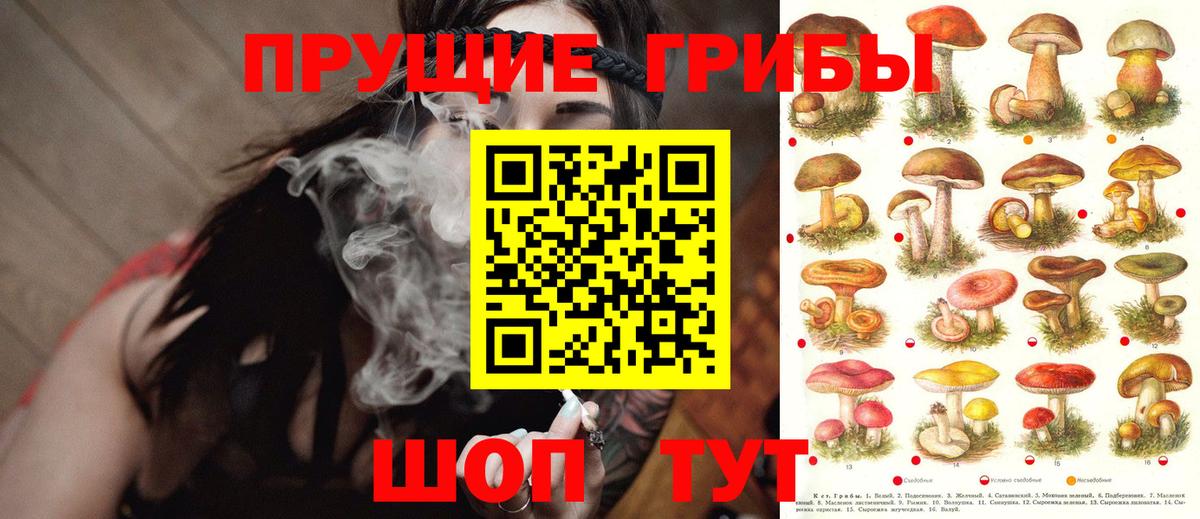 Протвино  дарнет шоп  Вход с VPN  Галлюциногенные грибы MAGIC MUSHROOMS 