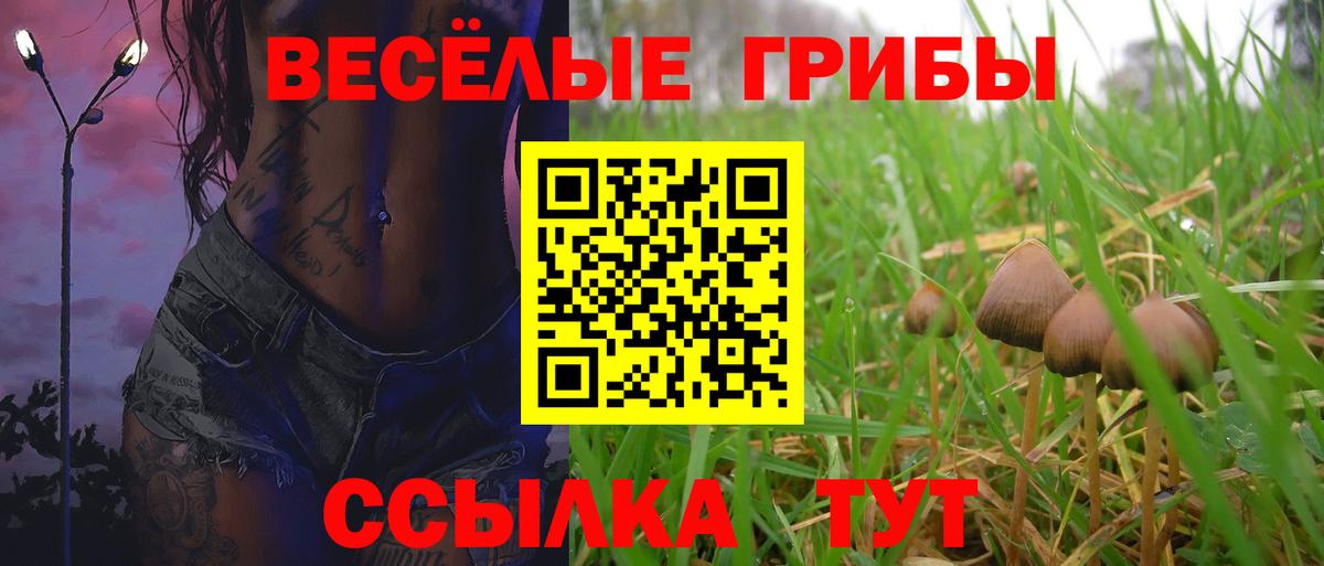 Псилоцибиновые грибы Cubensis Протвино
